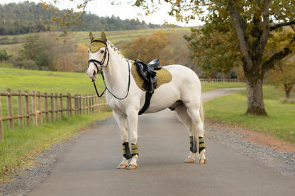 White horse wearing Lemieux Suede GP Square Gooseberry saddle pad and fly hood