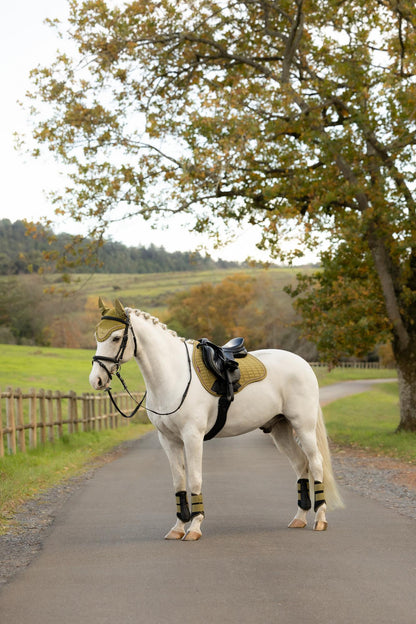 White horse wearing LeMieux Gooseberry equestrian gear in autumn scenery