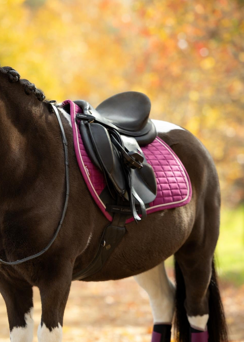 LeMieux Classic Fly Hood Blackberry