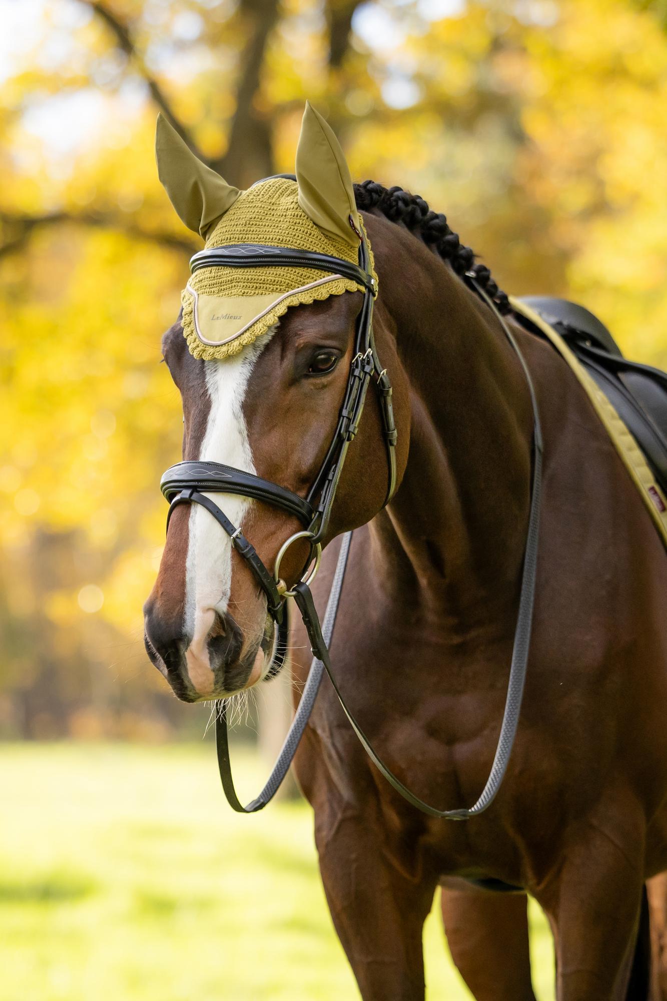 LeMieux Classic Fly Hood Gooseberry
