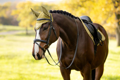 LeMieux Classic Fly Hood Gooseberry