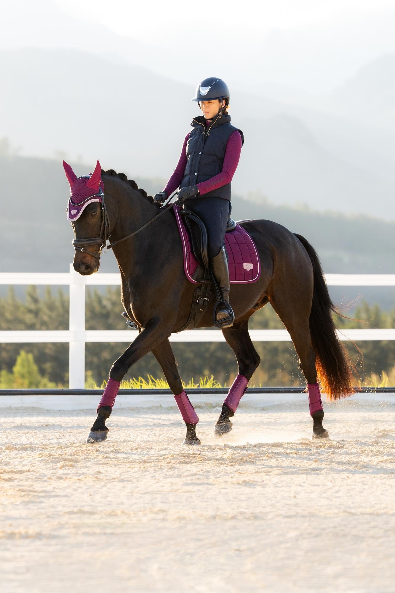 LeMieux Loire Classic Dressage Square Blackberry