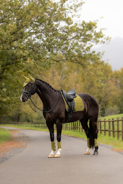 LeMieux Loire Classic Dressage Square Gooseberry