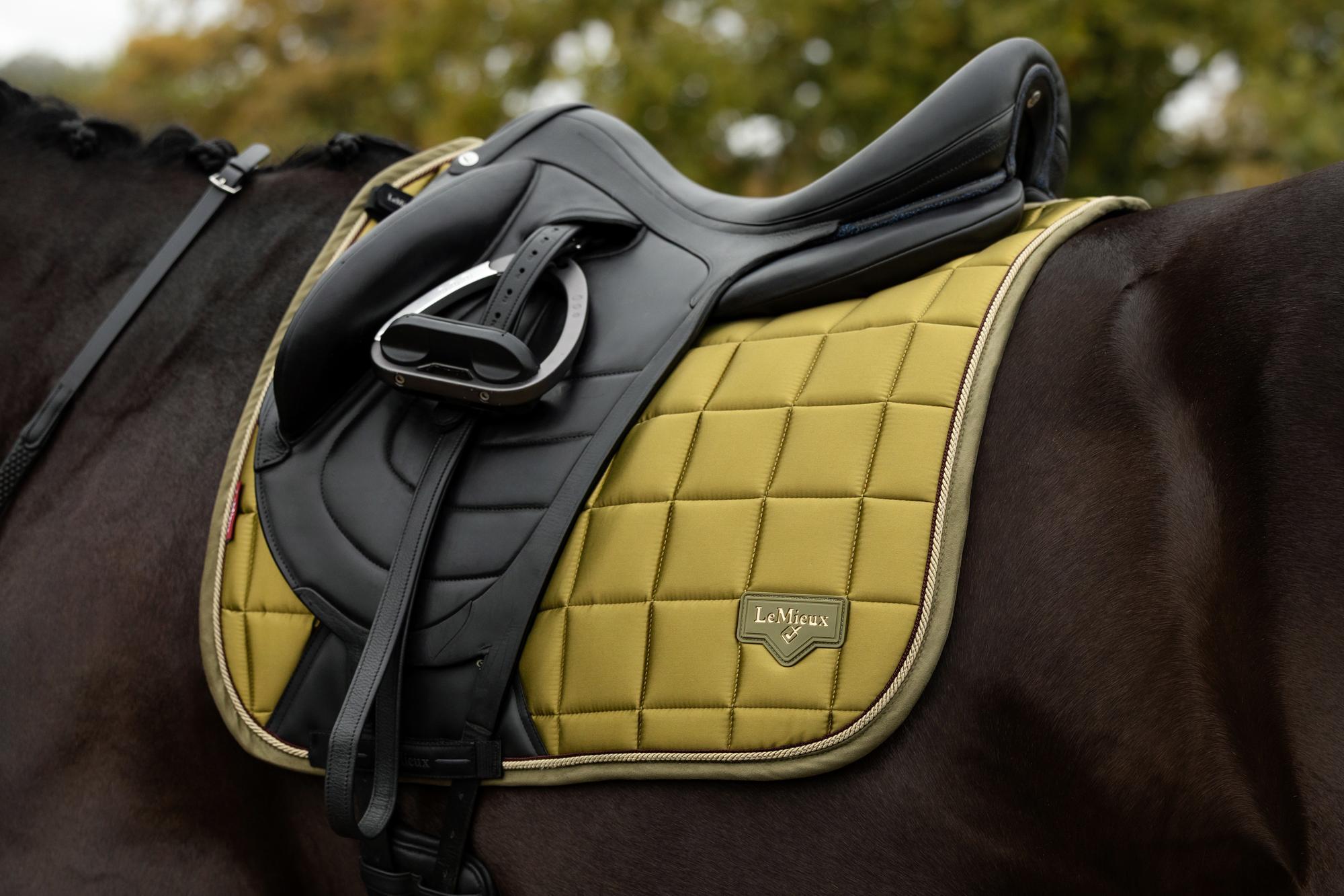 LeMieux Loire Classic Dressage Square Gooseberry