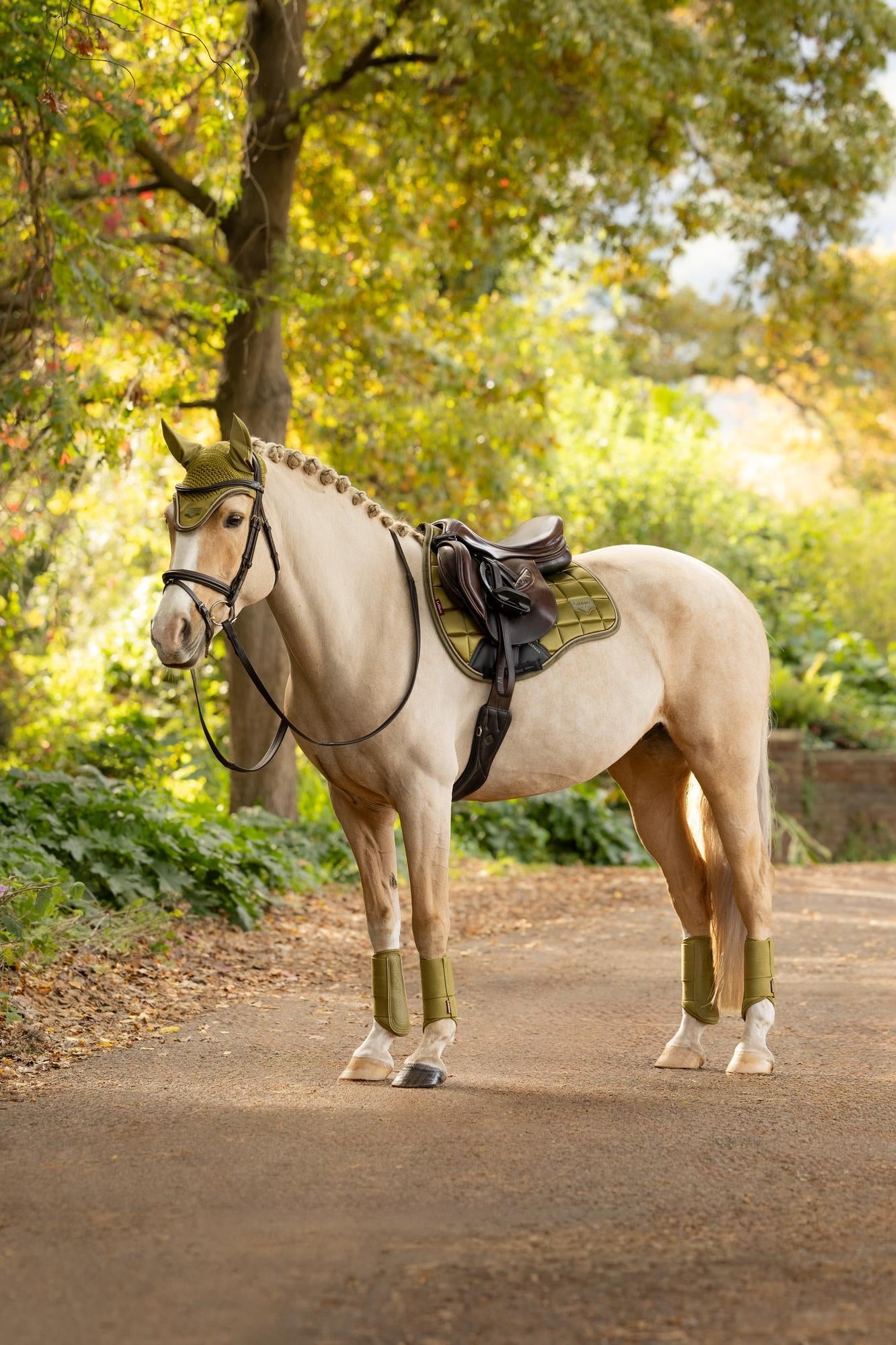 LeMieux Loire Classic GP Square Gooseberry