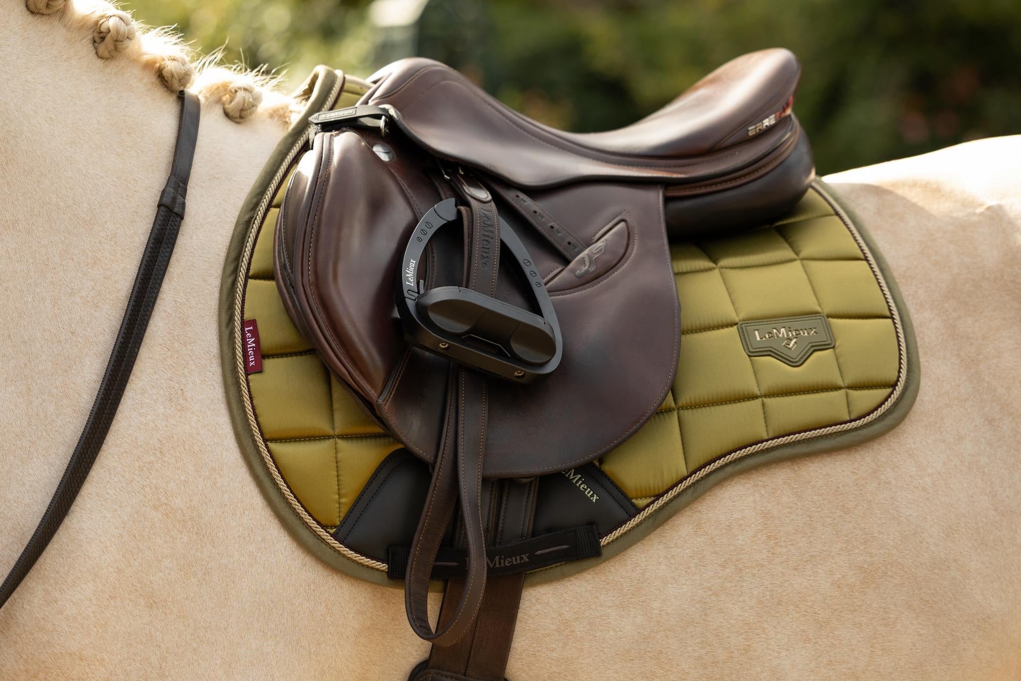 LeMieux Loire Classic GP Square Gooseberry