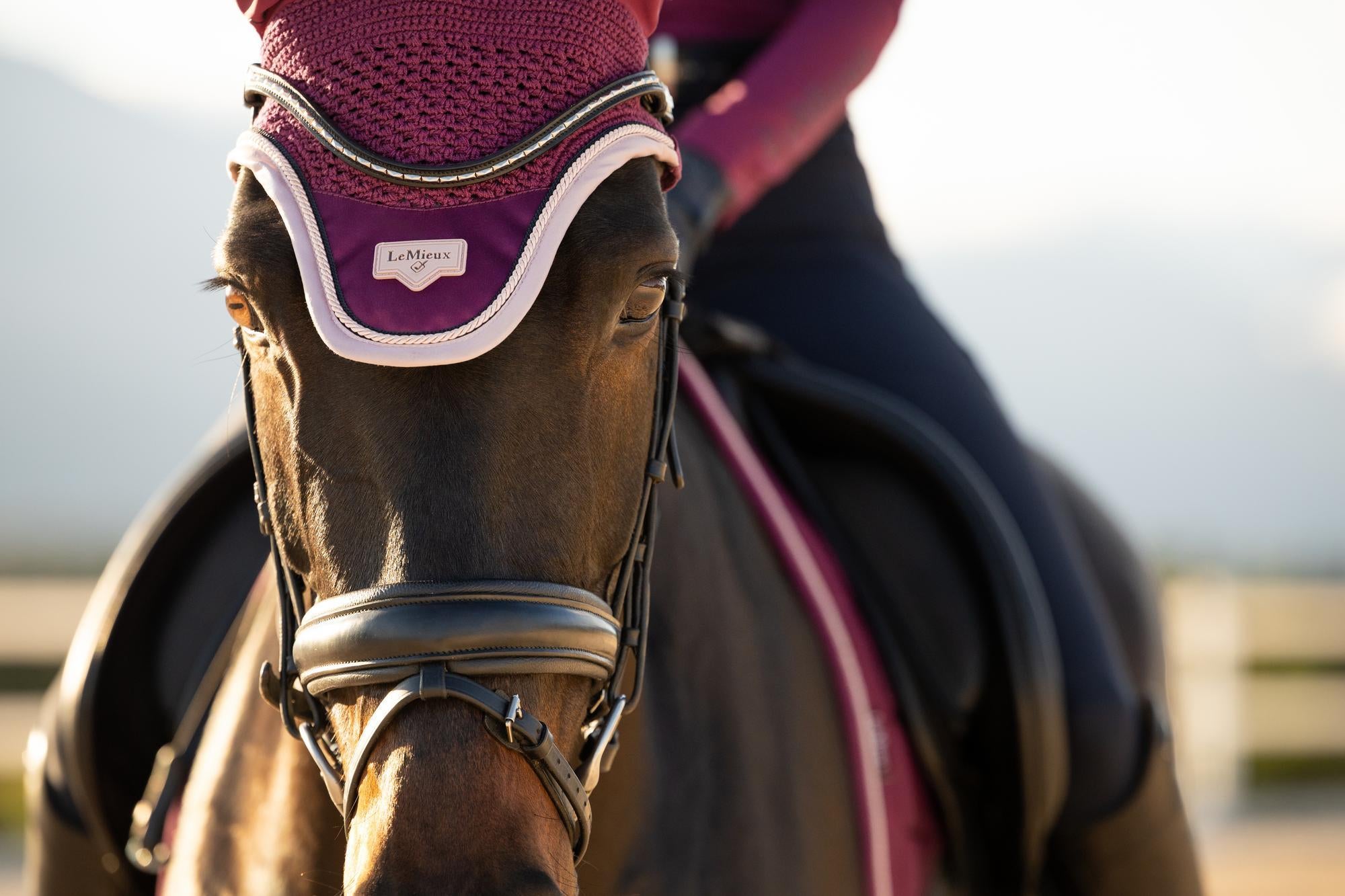 LeMieux Loire Fly Hood Blackberry