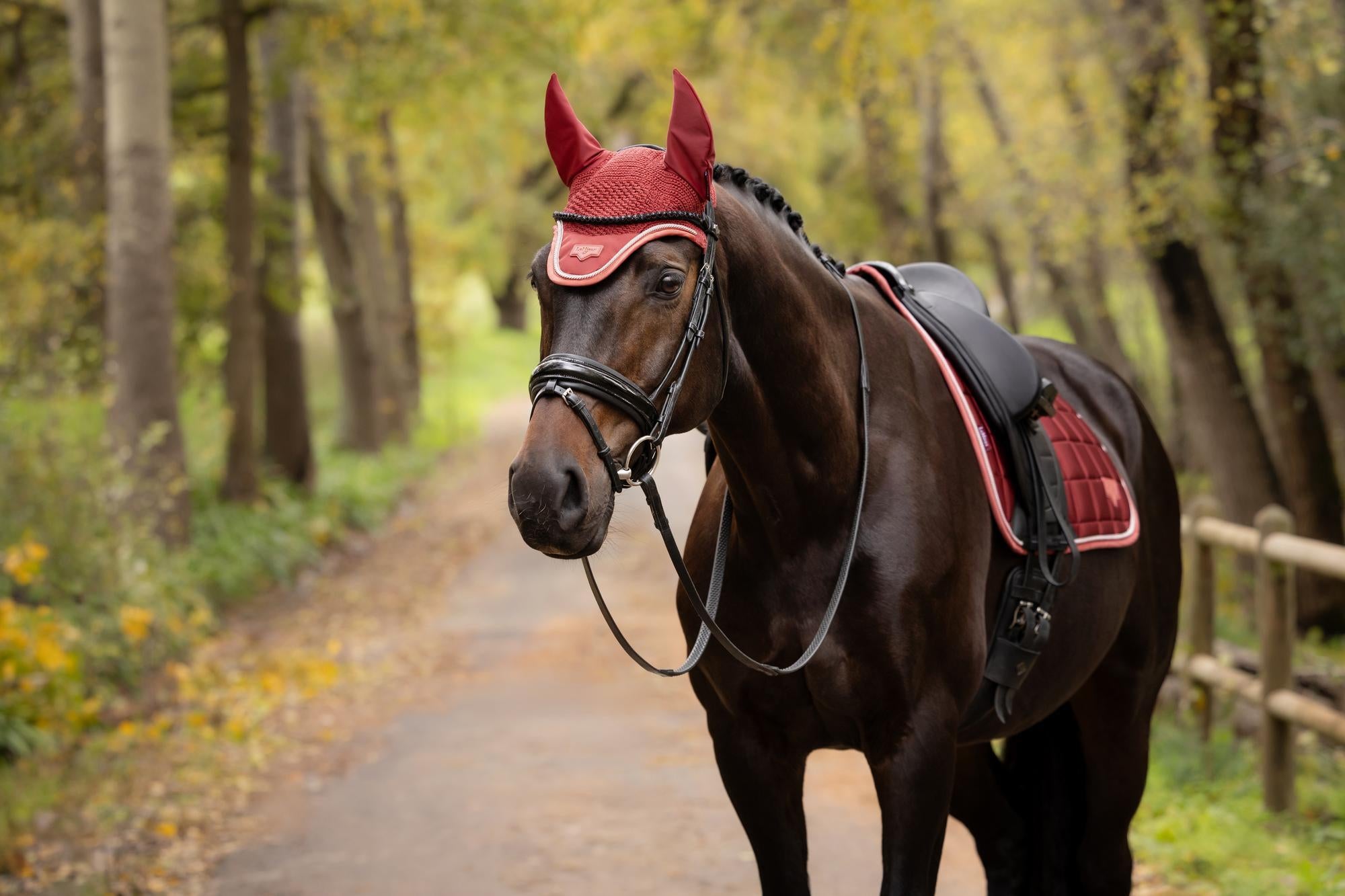 LeMieux Loire Fly Hood Russet
