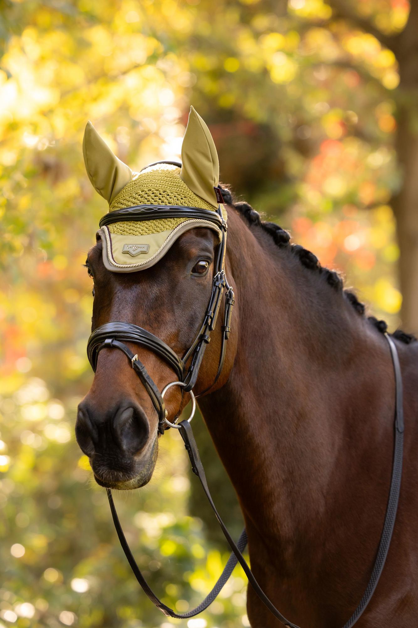 LeMieux Loire Fly Hood Gooseberry