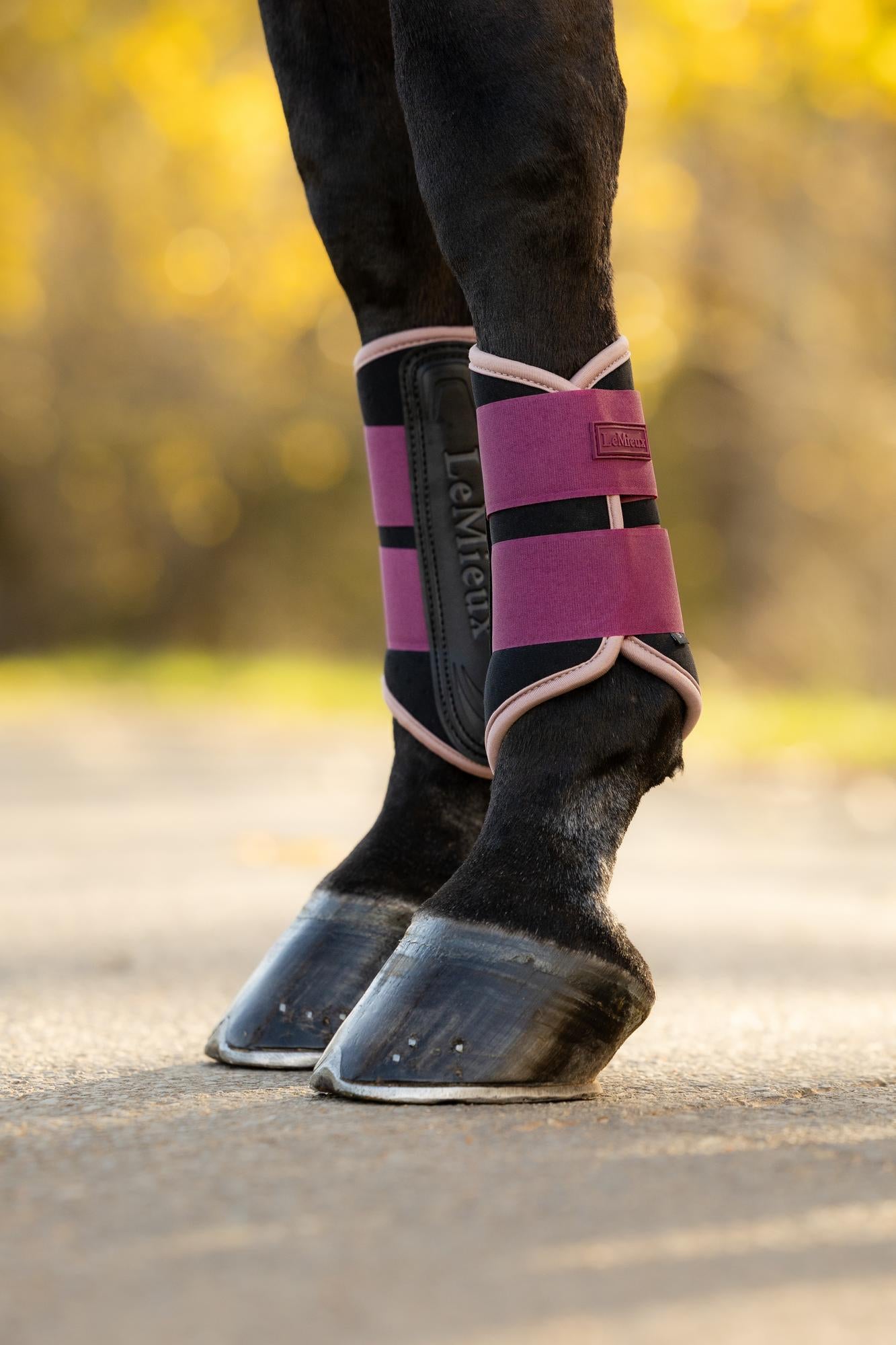 LeMieux Air-Tek Grafter Brushing Boots Blackberry