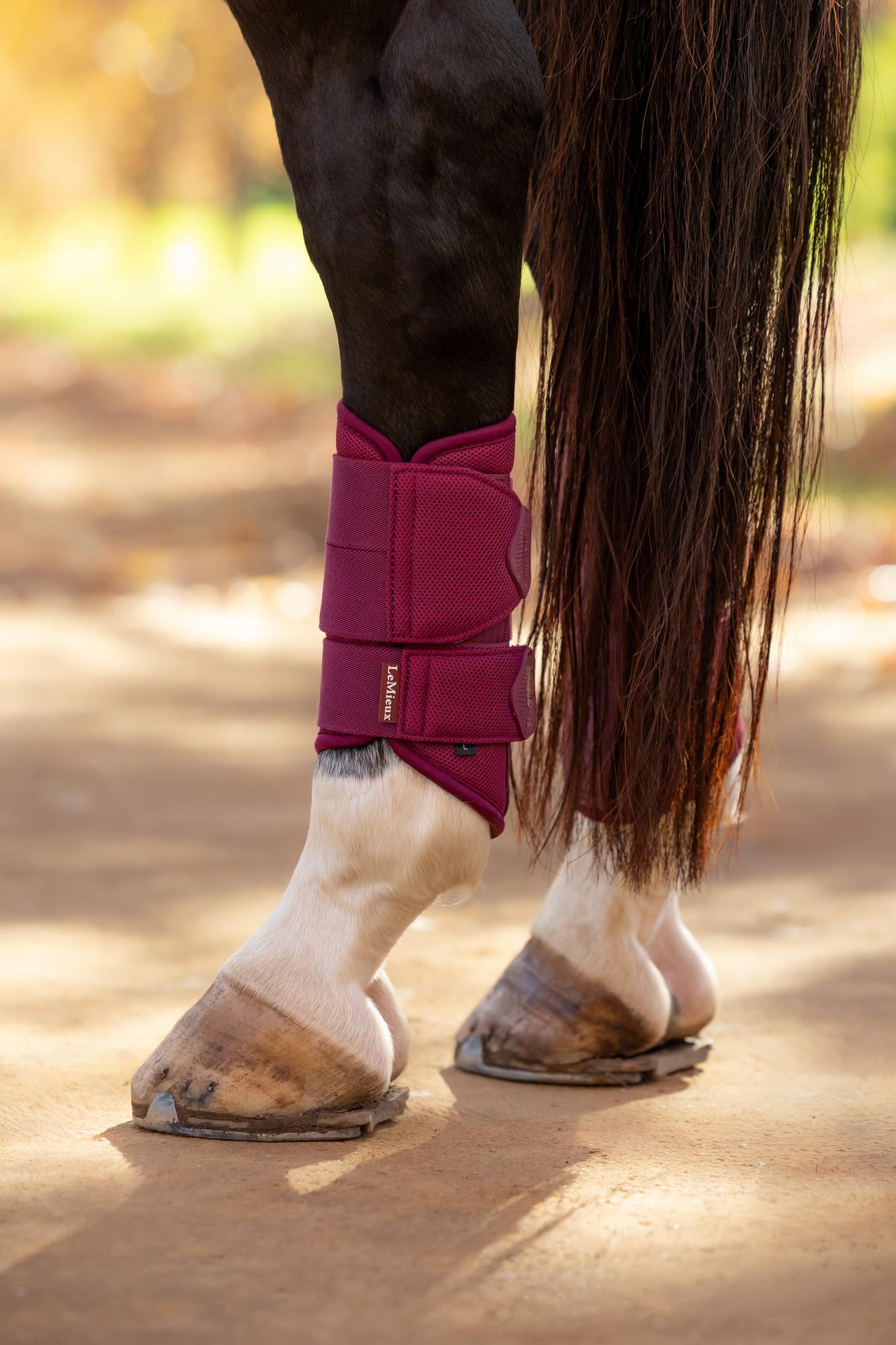 LeMieux Arika Mesh Brushing Boots Blackberry
