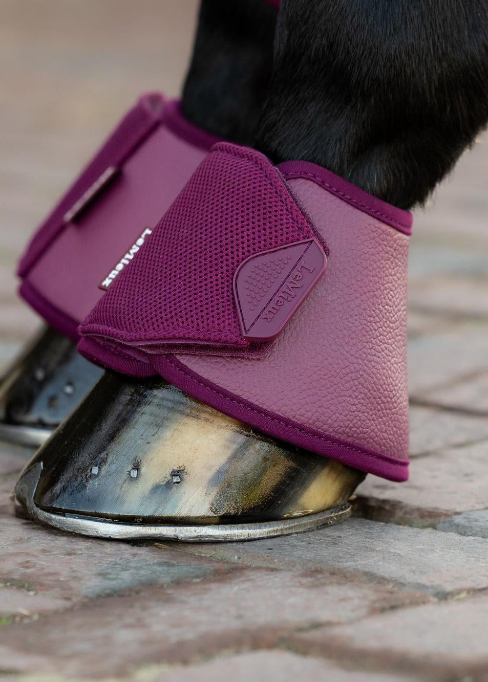 LeMieux Arika Over Reach Boots Blackberry - Horse hoof protection
