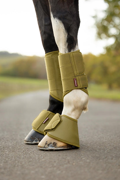 LeMieux Arika Over Reach Boots Gooseberry