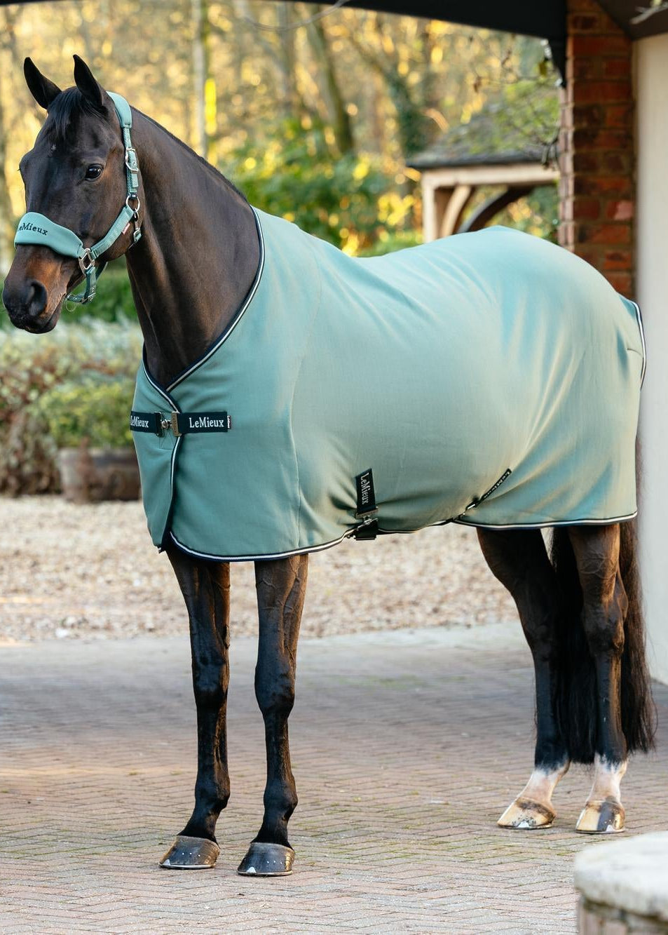 LeMieux AriKa Jersey-Tek Aloe green horse rug with matching fly veil, equestrian detail