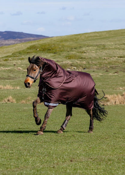 LeMieux Arika Ripstop 0g Turnout Rug Bramble