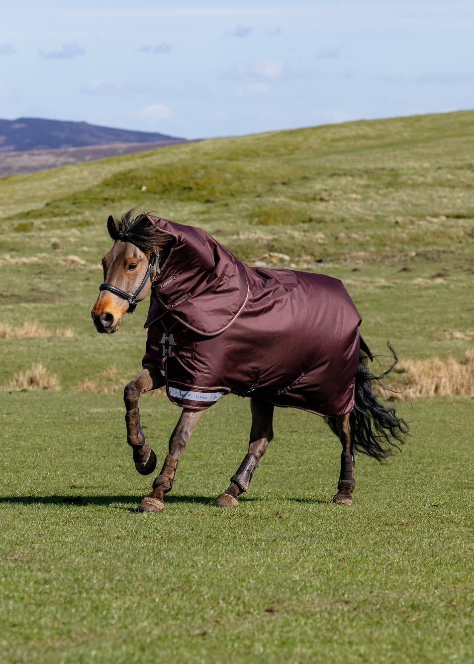 LeMieux Arika Ripstop 0g Turnout Rug Bramble