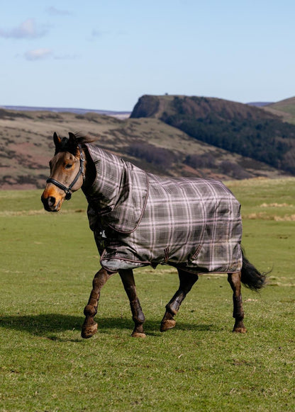 LeMieux Arika Heritage Check plaid turnout rug on horse in grassy field, rolling hills background