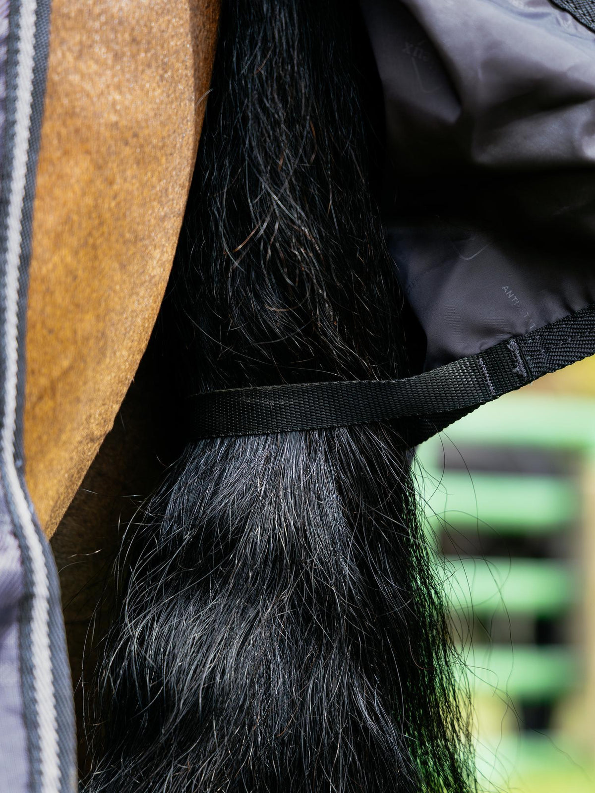 LEMLIEUX ARIKA turnout rug detail: secure strap on horse tail
