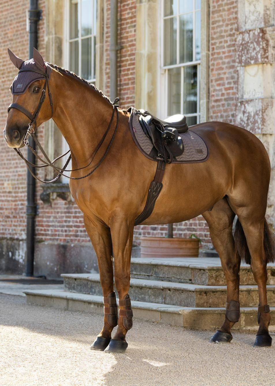 LeMieux Heritage Herringbone Jump Square Cocoa horse with bridle & leg wraps from Equiflair