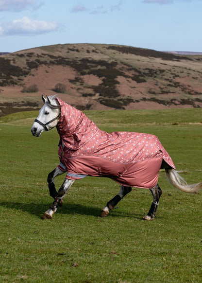 LeMieux Arika Star Turnout Rug 0G Spiced Earth on a grey horse in a green field.