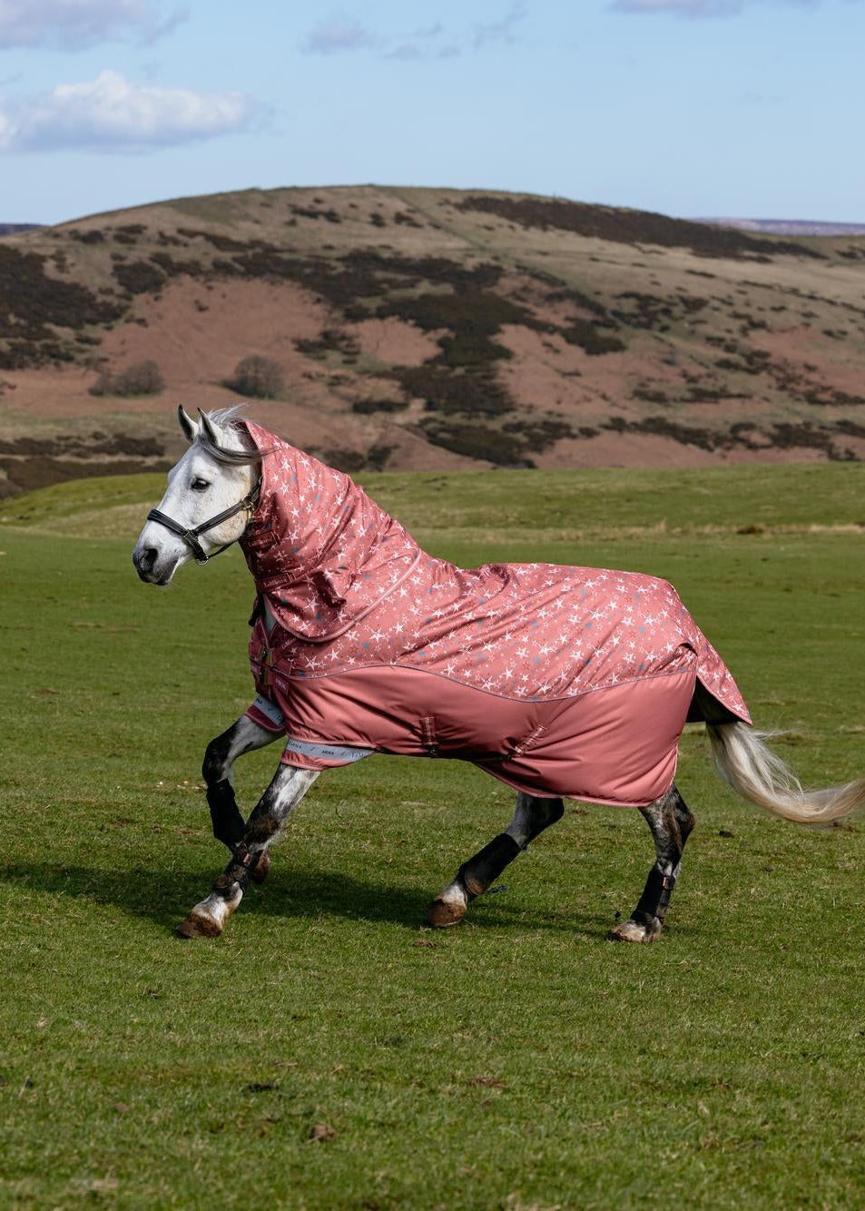 LeMieux Arika Star Turnout Rug 0G Spiced Earth on a grey horse in a green field.