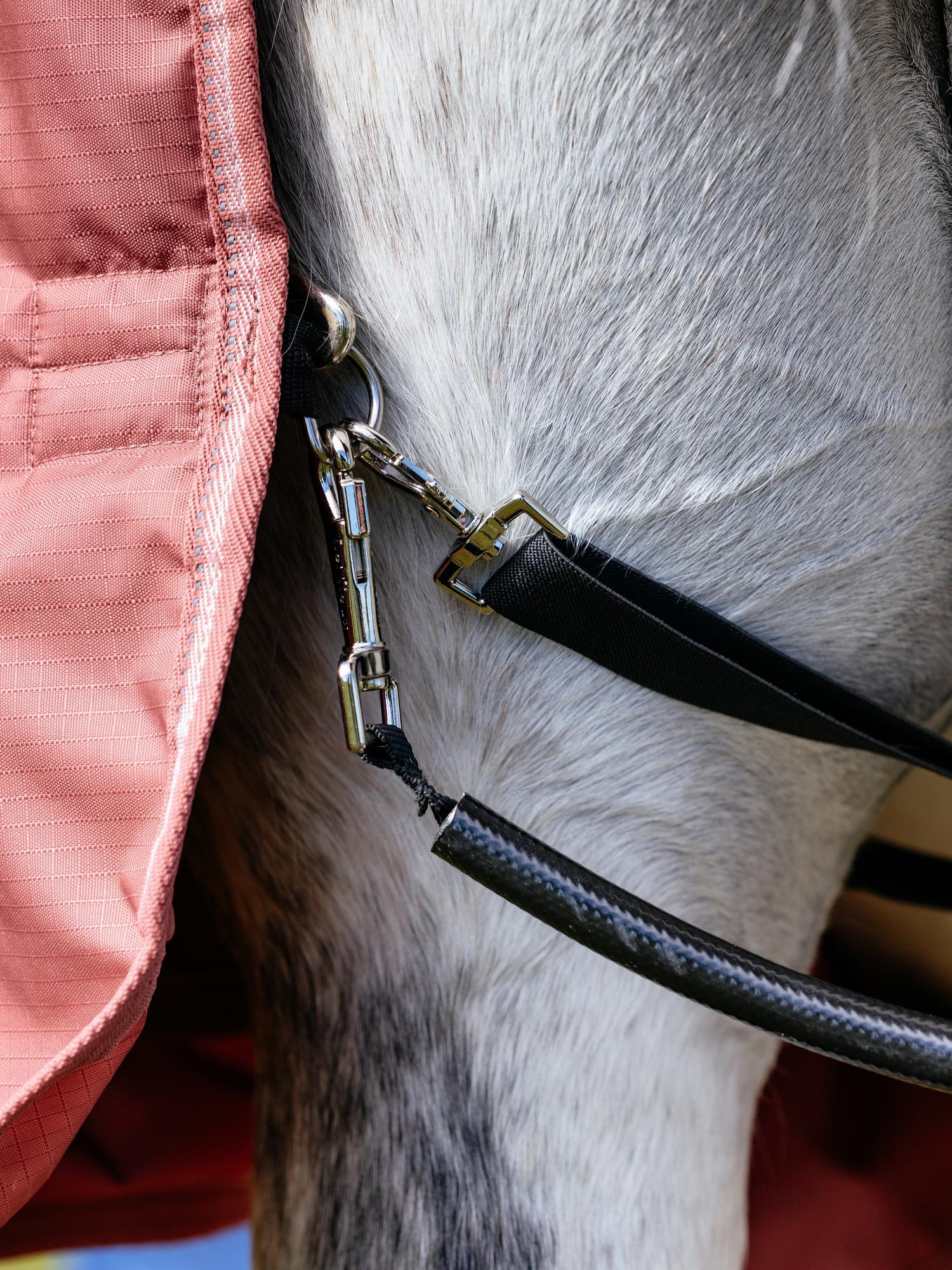 Close-up of a horse wearing a pink LeMieux Arika Star turnout rug with durable waterproof straps.