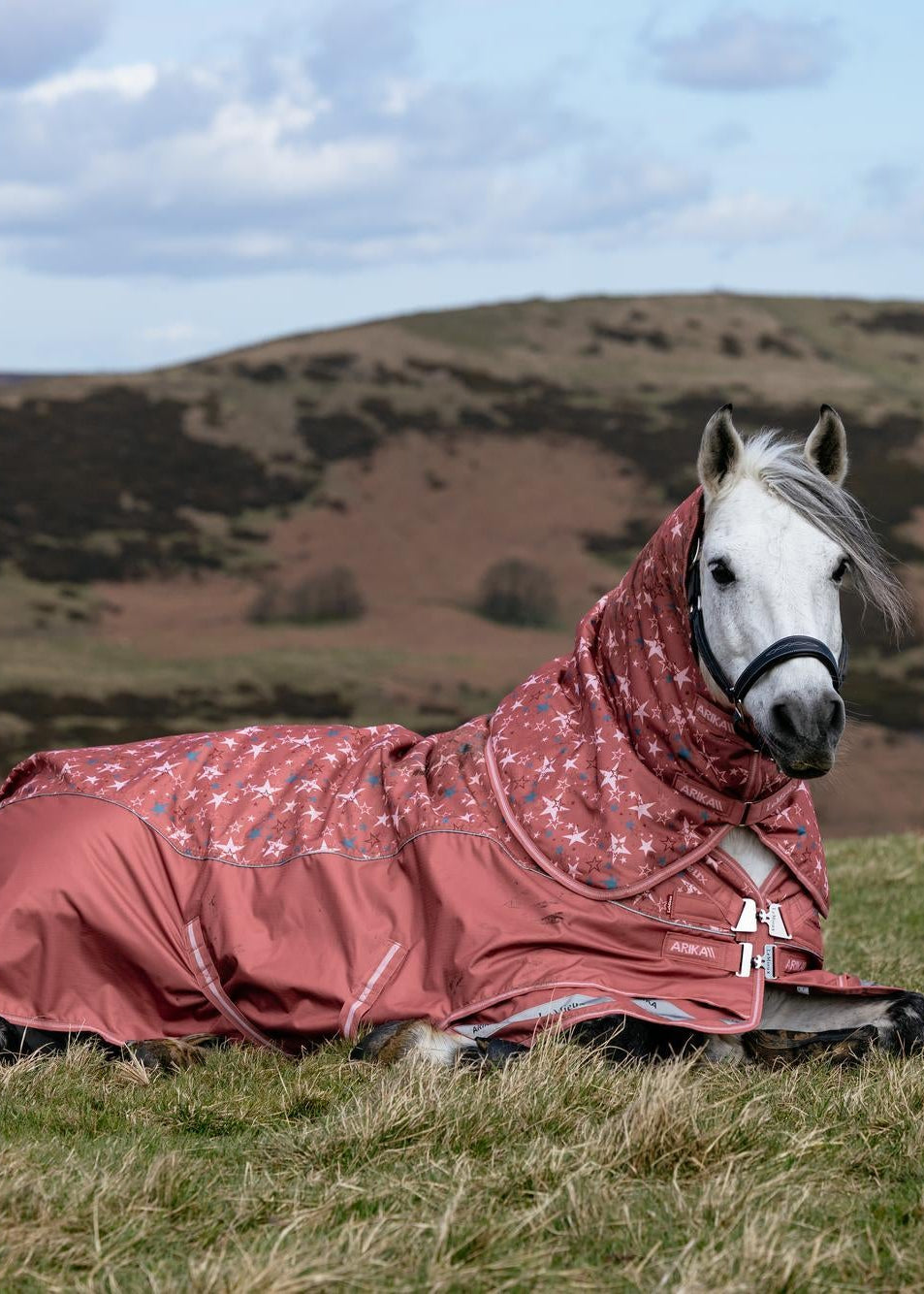 LeMieux Arika Star Turnout Rug 0G in Spiced Earth, waterproof breathable rug on a white horse lying down.