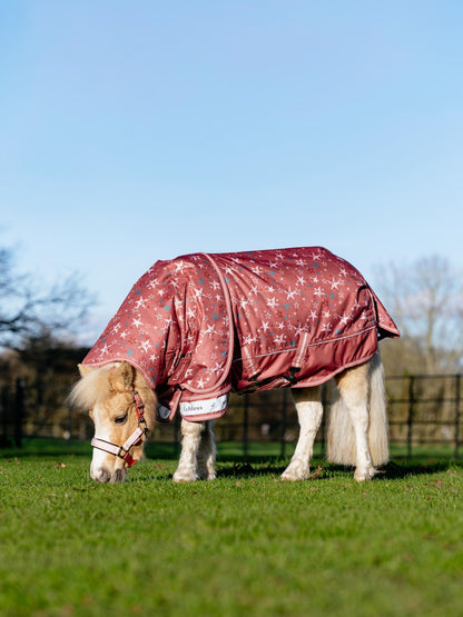 LeMieux Arika Star Turnout Rug on a pony in a field.