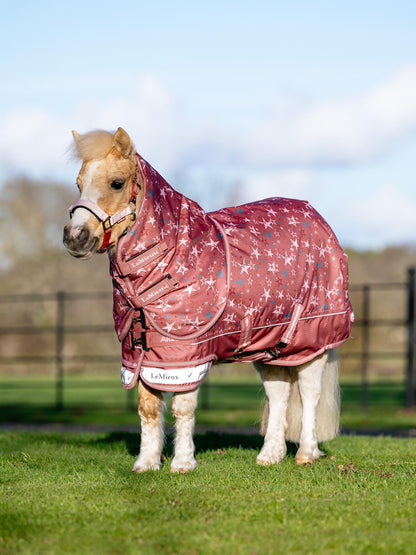 Cute palomino pony wearing a LeMieux Arika star print waterproof turnout rug in Spiced Earth.