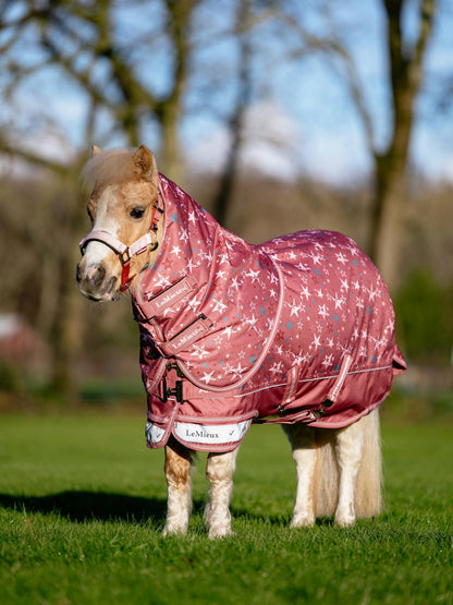Mini horse wearing LeMieux Arika Star Turnout Rug 0G Spiced Earth - waterproof and breathable