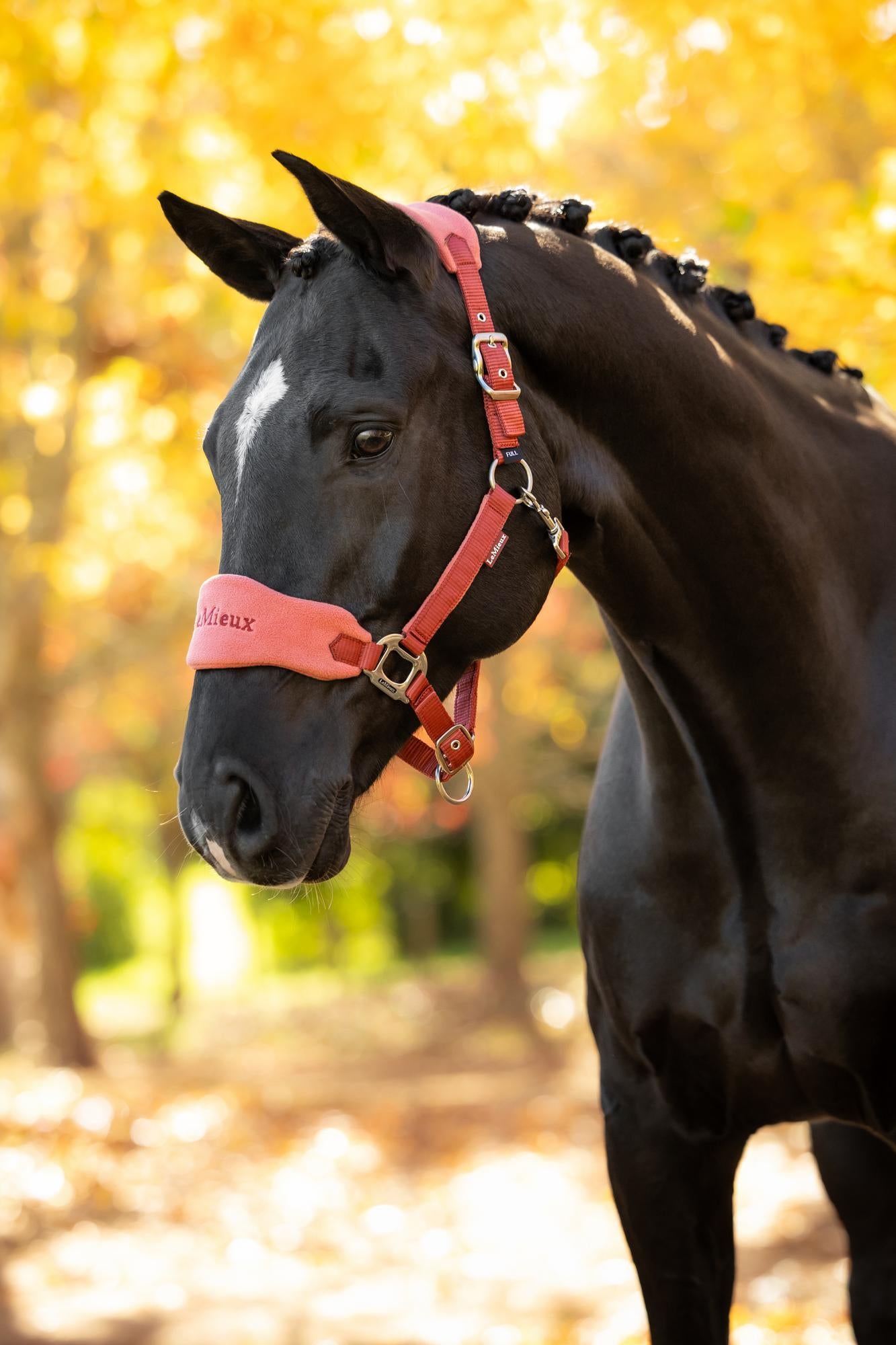 LeMieux Vogue Headcollar & Leadrope Russet