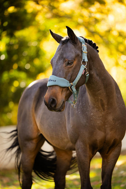 LeMieux Breakaway Vogue Headcollar & Leadrope Aloe