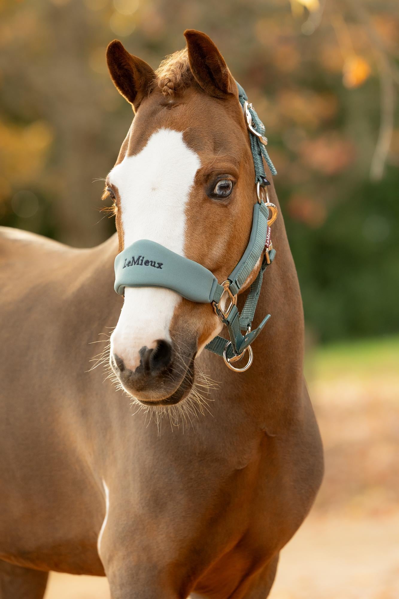 LeMieux Breakaway Vogue Headcollar & Leadrope Aloe
