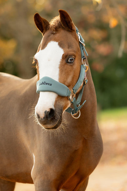 LeMieux Breakaway Vogue Headcollar & Leadrope Aloe