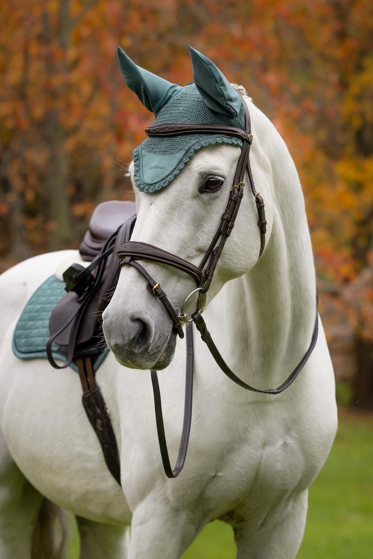 White horse wearing green LeMieux fly hood and saddle pad in autumn setting with LeMieux logo