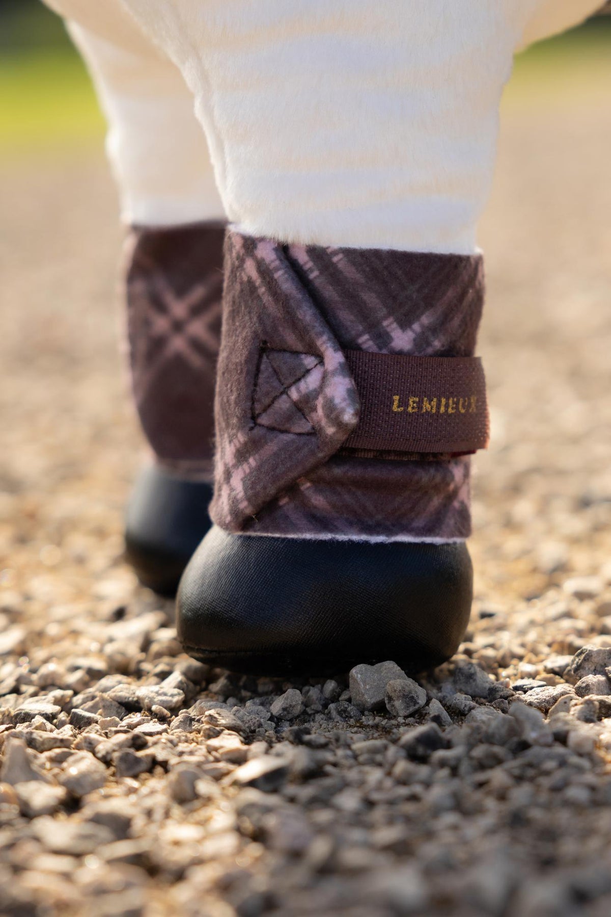 LeMieux toy pony cocoa plaid bandages with black boots on hind legs