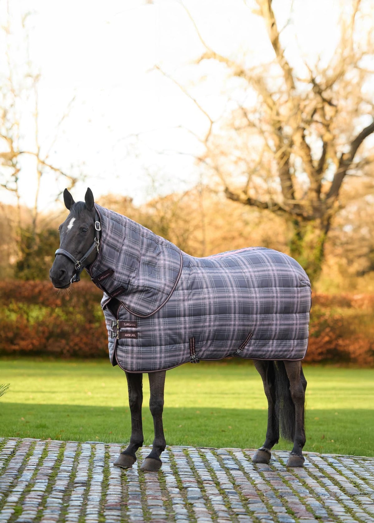 LeMieux Arika Heritage Check Stable Rug 200g Cocoa - Stylish horse wear with plaid design
