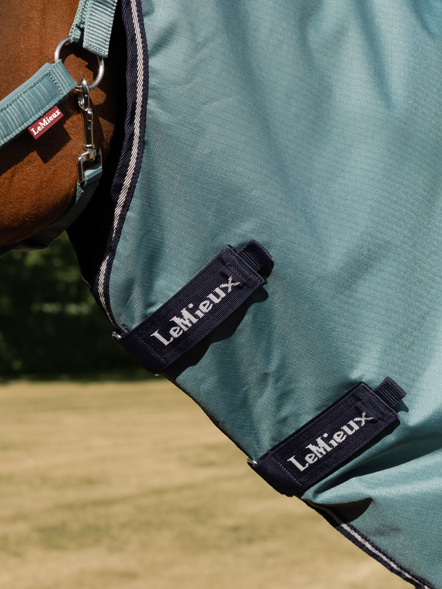 LeMieux Arika Ripstop 0g Turnout Rug Aloe