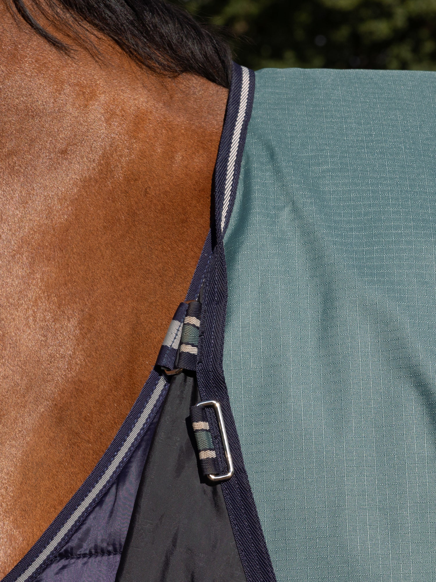LeMieux Arika Ripstop 0g Turnout Rug Aloe