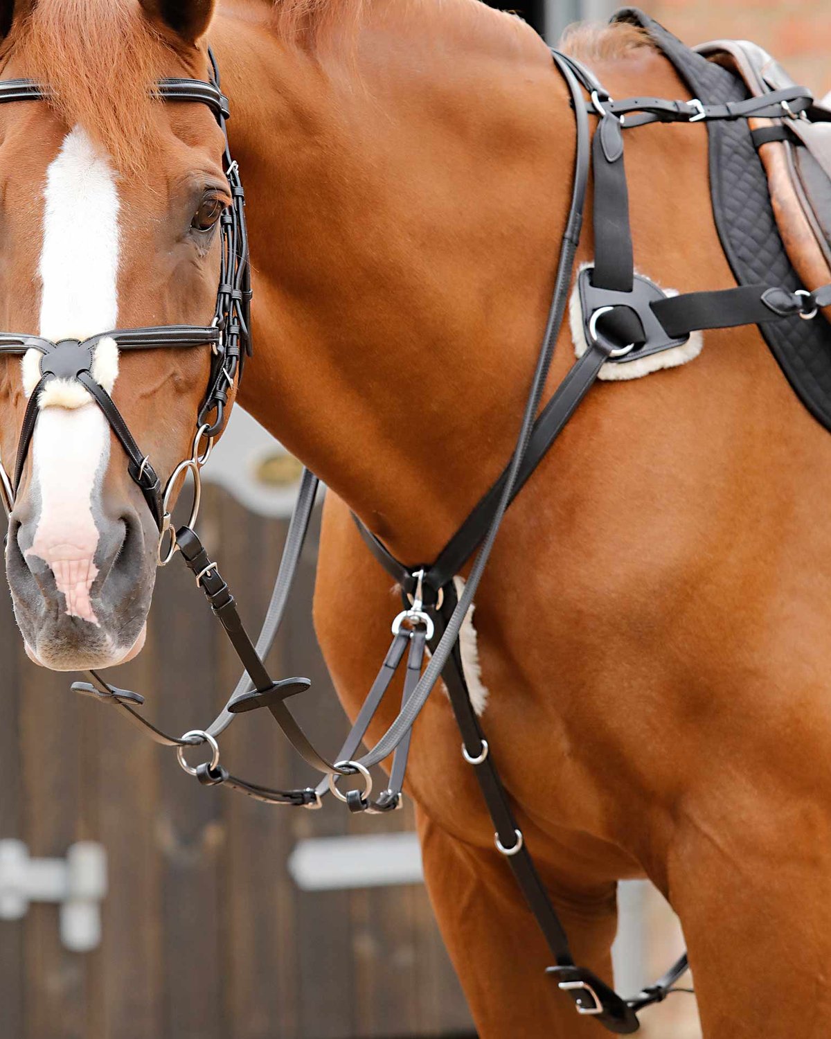 Premier Equine Invorio 5 Point Breastplate Black