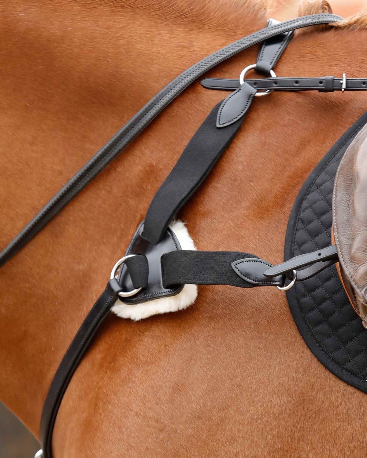 Premier Equine Invorio 5 Point Breastplate Black