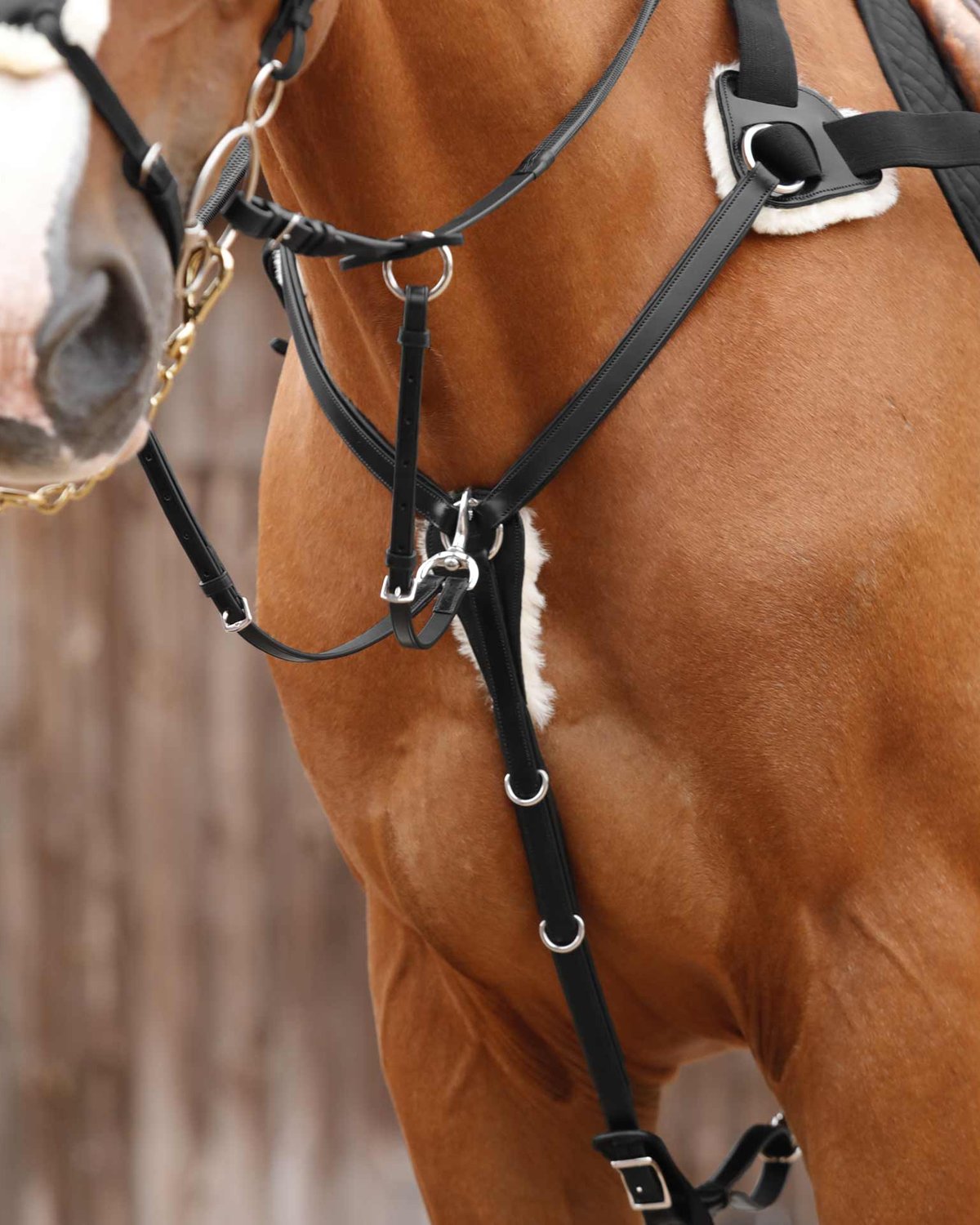 Premier Equine Invorio 5 Point Breastplate Black