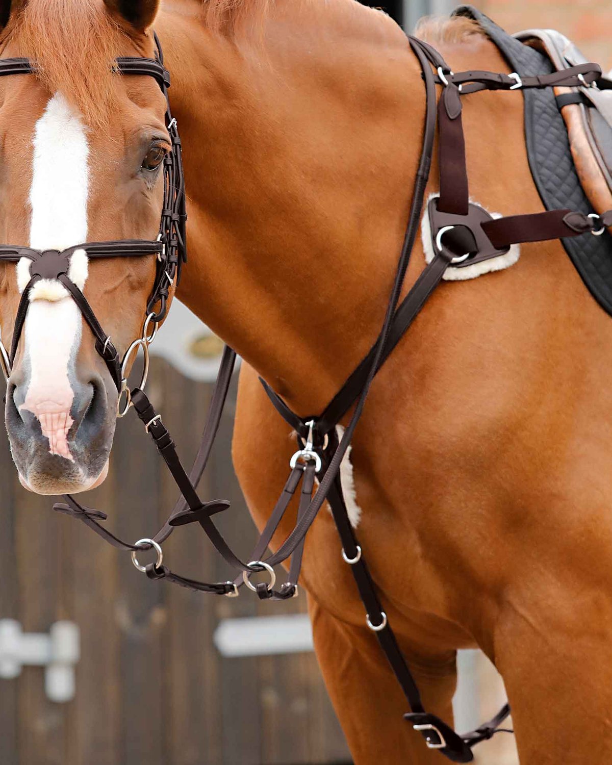Premier Equine Invorio 5 Point Breastplate Brown