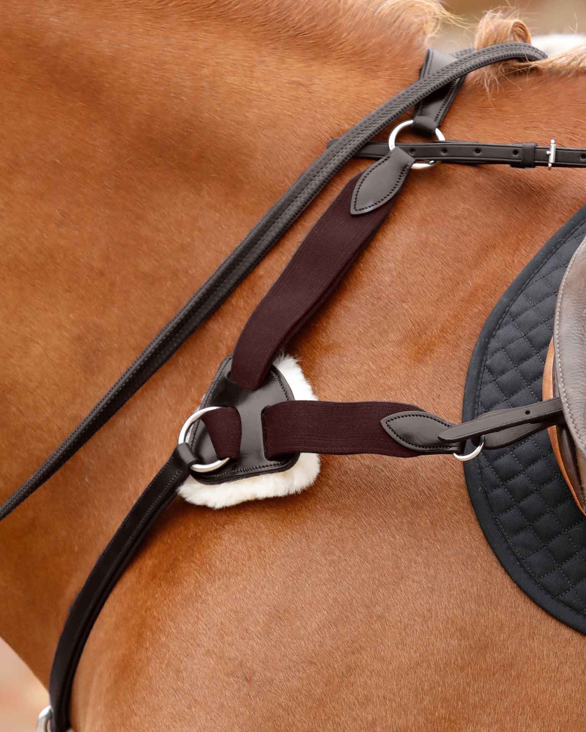 Premier Equine Invorio 5 Point Breastplate Brown