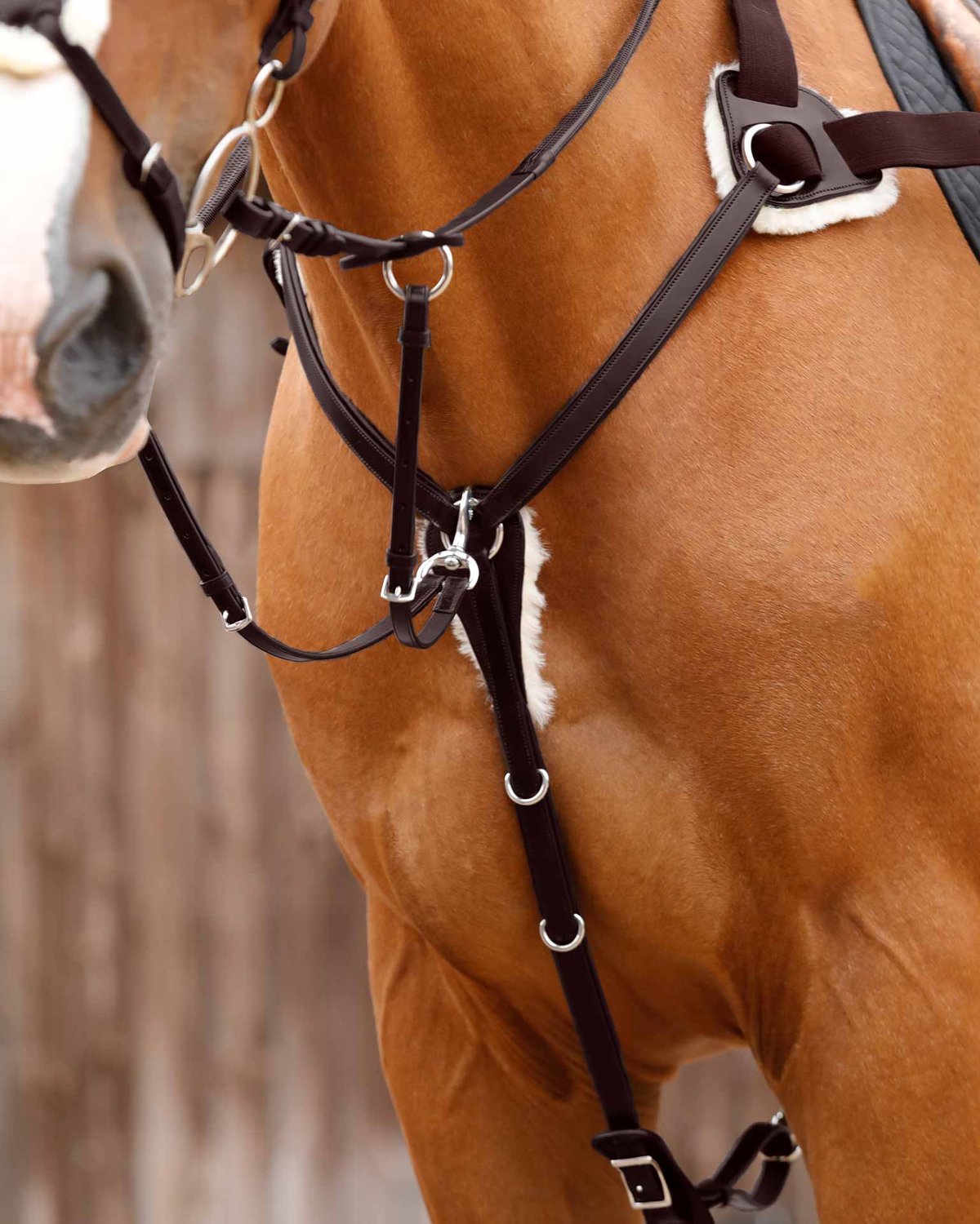 Premier Equine Invorio 5 Point Breastplate Brown