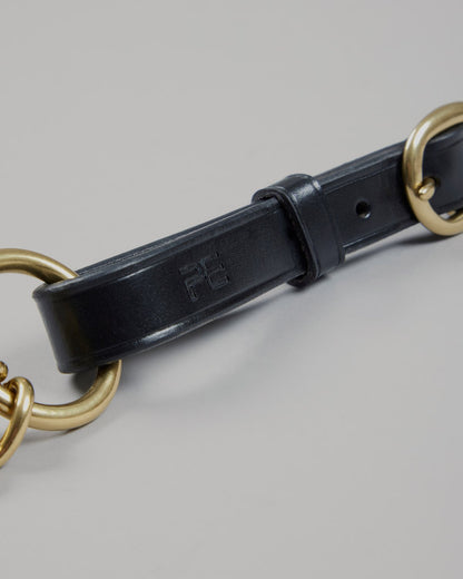 Premier Equine Leather Lead Rein with Brass Coupling - Equiflair: Black equine lead for in-hand showing.