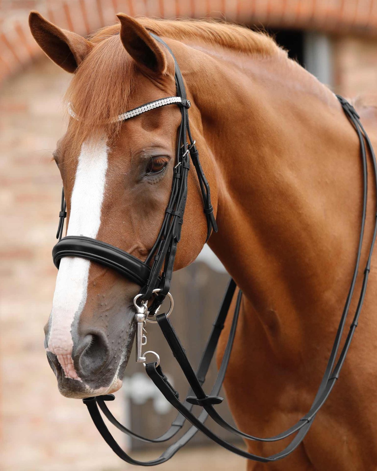 Premier Equine Leonardo Plain Leather Double Bridle Reins Black