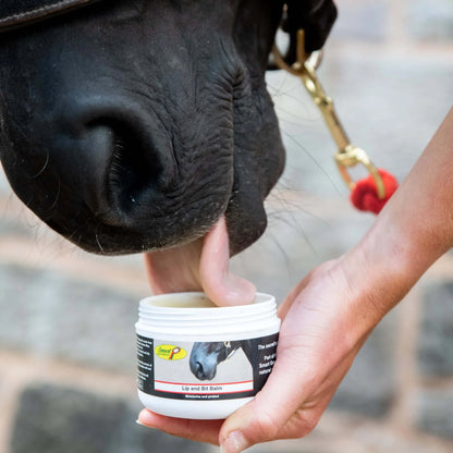 Horse Licking Smart Grooming Lip & Bit Balm - Natural Moisturizing Balm for Horses by Equiflair