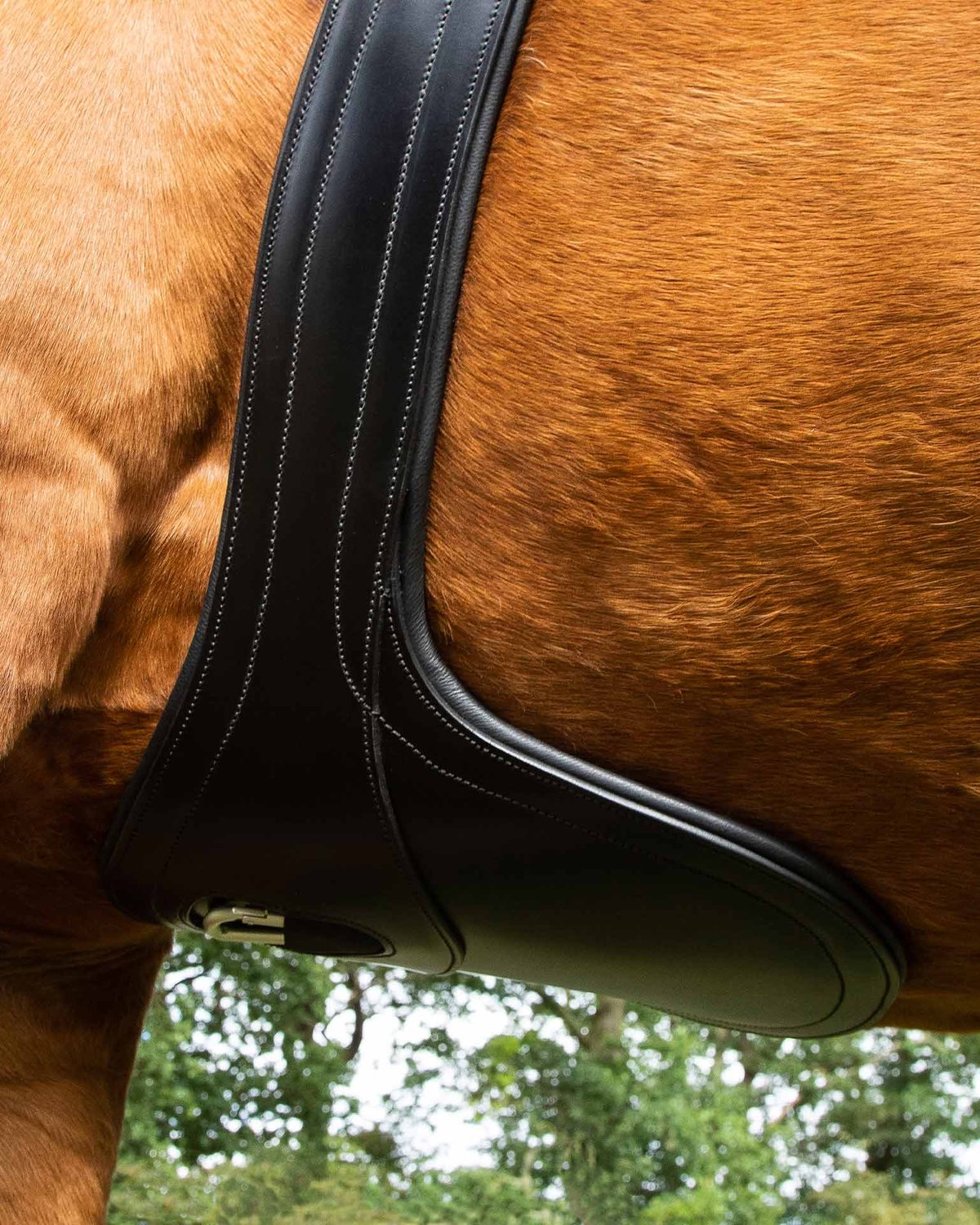 Premier Equine Lizzano Anatomic Leather Stud Girth Black