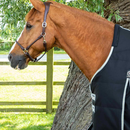 Chestnut Horse wearing Premier Equine Lucanta Black Stable Rug. Horse rug
